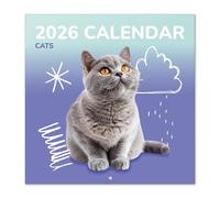 Grupo Erik: Calendario Gatti 2026 da Muro, 12 mesi, 30x30cm FSC, Calendario 2026 da parete gatti