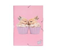 Grupo Erik: Cartellina rigida Studio Pets Rabbits | Cartella portadocumenti A4 espandibile, 34 x 24,5 cm, Cartella a 3 lembi con elastico, Cartelletta Porta Documenti in cartone, Licenza Ufficiale