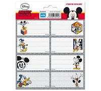 Grupo Erik: Etichette adesive Disney | Etichette adesive colorate 8x4cm da usare per personalizzare regali, quaderni o altri prodotti di cancelleria, Etichette adesive scuola libri