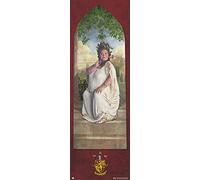 Erik Poster per porta Harry Potter Grifondoro con password 158x53 cm