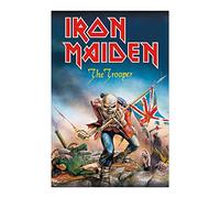 Grupo Erik: Poster Iron Maiden - The Trooper | Poster da parete Metal Band, 61 x 91,5 cm, Poster da muro con carta lucida e incorniciabile, Iron Maiden Gadget