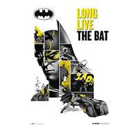 Grupo Erik - Poster Batman, 61x91,5 cm