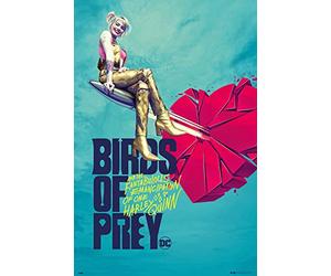 Grupo Erik - Poster Birds of Prey Broken Heart