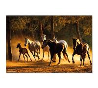 Grupo Erik: Poster Cavalli di Andalusia | Decorazione da Parete, 61x91,5cm, Carta Lucida | Incorniciabile, Decorazione Casa | Camera da Letto, Decorativo