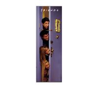 Grupo Erik: Poster da Porta Friiends Serie TV | Poster da parete Friends 53 x 158 cm, Poster da muro con carta lucida e incorniciabile, Friends Gadget
