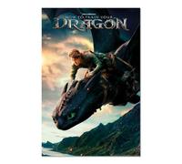 Grupo Erik: Poster Dragon Trainer Come addestrare un drago |Scrivania gaming, Gaming, v 91.5 x 61 cm incorniciabile, merchandising vintage, poster arte pop/Decorazioni casa, decorazione cameretta