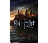 Maxi poster Erik Harry Potter 2 91,5x61 cm