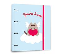 Grupo Erik: Raccoglitore A4 Pusheen, Raccoglitore a 4 anelli con elastico e copertina rigida in cartone, 32 x 27,5 cm, Cartella Portadocumenti A4, Cancelleria Pusheen