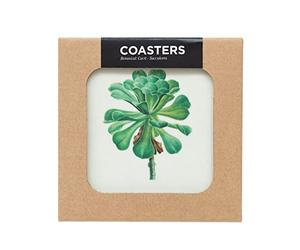 Grupo Erik: Set Sottobicchieri Botanical Cacti | Botanical Cacti Collection: Set 4 sottobicchieri quadrati con stampa decorativa, 10x10 cm, retro in sughero e stampa resistente al calore