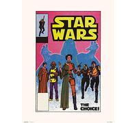 Grupo Erik Stampa, Star Wars 90 The Choice, 30 x 40 cm