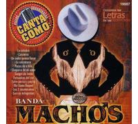 Grupo Mexico Lindo - Canta Como