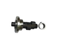 Gruppo albero a camme compatibile con il motore for scooter KC6125 da 125 cc