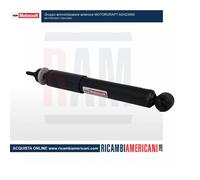 Gruppo ammortizzatore anteriore