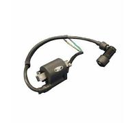 GRUPPO BOBINA ACCENSIONE MINIQUAD ATV MINI CROSS CON MOTORI 4 TEMPI