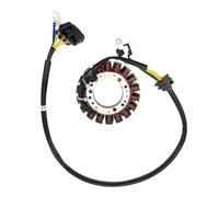 Gruppo bobina adatto for YinXiang ATV Stels Leopard 600 / 650Y Codice parte 370101-102-0000
