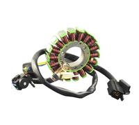 Gruppo bobina statore compatibile con DR200 1995 1996 1997 1998 1999 2000 2001 2002 2003 2004 2005 2006 2007 2008 2009 2010 2011 2012 2013 e DF200 1996 1997 1998 1999 2000