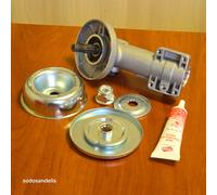 Gruppo cambio per Stihl FS100 FS85 FS200 FS250 FS120 FS130 FS80 #41806400114