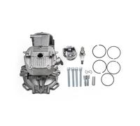 Gruppo Cilindro Kit Pistone Trimmer Parti Kit cilindro e pistone per tosaerba per Ho&nd&a GX35 GX35NT, bulloni di montaggio, anello di tenuta, gruppo cilindro, perno del pistone, anelli elastici