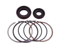 Gruppo Cilindro Kit Pistone Trimmer Parti Kit di guarnizioni per albero motore, fasce elastiche e pistoni da 39 mm per motore di tosaerba a 4 tempi per Ho&nd&a GX35 GX 35, ricambio