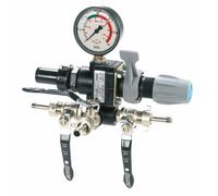 Gruppo Comando Irrorazione Emak GCP 3V 100 l/min Made in Italy