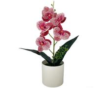 Gruppo di fiori artificiali Phalaenopsis con cinque teste in vaso abbinato per una composizione equilibrata su e livelli di scaffale (polvere maculata)