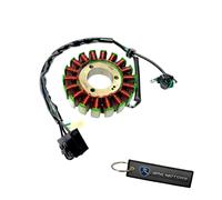 Gruppo Generatore Stator Completo Per Kawasaki Ninja 300 EX300 2013-2026