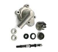 Gruppo idraulico adatto for motori GY6 250cc CN250 CF250 da 172 mm, scooter, ATV, Go Kart, Quad, ciclomotore.