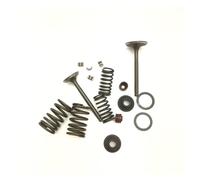 Gruppo molla testata cilindro CH250 set con molla e clip 70cc-110cc