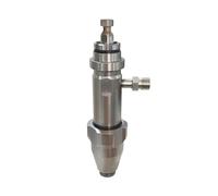 Gruppo pompa 17H824 16Y706 287513 Spruzzatore airless 1095 1595 5900 Parti di ricambio(Buckle pump)
