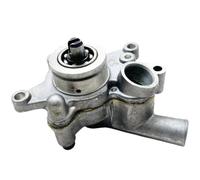 GRUPPO POMPA ACQUA Adatto for LH 260 300 400 ATV Quad Codice 22820