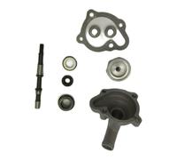 Gruppo Pompa Acqua Da 172 Mm Adatto for He CN250 El CH250 CF CF250 250CC