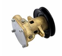 Gruppo Pompa Acqua Facile da Installare, G910p | Design Compatto, Pompa per Acqua di Mare, Resistente, Motori Marini