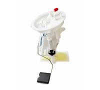 Gruppo pompa benzina BMW Serie 3 E46 16146752499 16141184276