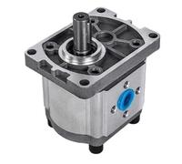 Gruppo pompa idraulica ad ingranaggi CBN/CBT-F/G/E 304 306 310 314 316 320 325 Piccola testa alta pressione Form-02)(Cbt-cbn-e325(16mpa),Form-01)