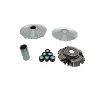 Gruppo puleggia di trasmissione del variatore dello scooter 23g Set di rulli Perline Piastra Boss B for Hd NSS350 Forza350 SH350 ADV350 350cc(One Set)