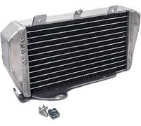 gruppo radiatore honda CRF250RX AC, L. 19150-K95-A50 originale JDM 2019-2021