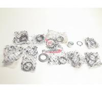 GRUPPO RALLE CALOTE STERZO X7 / X8 / X9 / Nexus / SR 6009216 ORIGINALE PIAGGIO