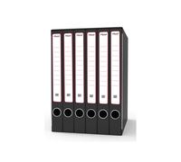 Gruppo registratori Sestetto - con 6 cartelle 3 lembi - 25,5x34,5 cm - dorso 23 cm - grigio - Rexel