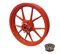 Gruppo ruota anteriore adatto a KTM Duke 200 2017-2023