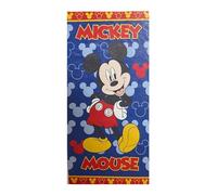 gruppo russo alfio di russo alfio TELO MARE SPUGNA MICKEY MOUSE