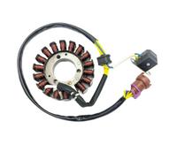 Gruppo statore magnete acqua 2.1.01.2061 compatibile con quad ATV 300CC