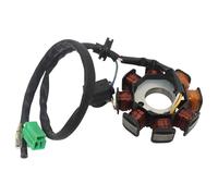 Gruppo statore Magnete Bobina Magnete 8 Poli Bobine 50cc Statore di accensione per Scooter Sunl Roketa per Vespa ATV Quad Go Kart Buggy Parti Bobina statore Moto