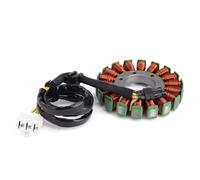 Gruppo statore Magnete Bobina statore Magnete Moto per Honda CBF 1000 SC58 2006-2010 31120-MFA-D01 31120-MGJ-D01 Bobina statore Moto