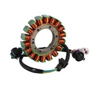 Gruppo statore Magnete per Motore Moto, generatore, Bobina statore per SWM Gran Milano MY16 17 18 2016-2018 per SWM Ace, Bobina statore per Moto