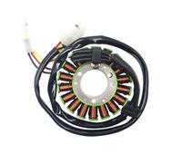 Gruppo statore Magnete Ricambi Moto Bobina statore generatore 58439004000 per 400 EGS-E LC4 LS-E 620 RXC-E 640 660 Bobina statore Moto
