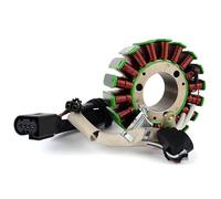 Gruppo statore Magnete Statore Generatore Bobina per BMW G310 G310R K03 K02 2016-2024 per TVS Apache RR 310 Moto Bobina statore