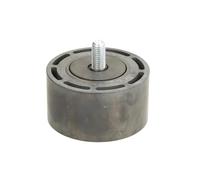 Gruppo Tenditore per Rullo Tenditore per Camion 1734903 1860734 2089431 2129402 Puleggia Tenditrice della Cinghia di Distribuzione del Sistema Motore