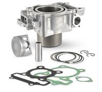 GRUPPO TERMICO 300C RMS PER HONDA NSS 300 A FORZA ABS 300 2013/2017