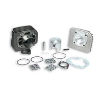 GRUPPO TERMICO MALOSSI 318723 Ø 47 IN GHISA SPINOTTO Ø 10