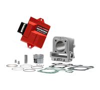 GRUPPO TERMICO Ø49 CON CENTRALINA INJTRONIC MALOSSI PIAGGIO LIBERTY IGET 50 2025